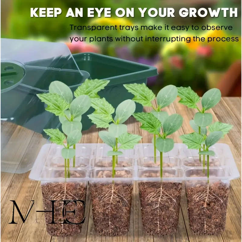 3pcs Seed Starter Trays With Lid