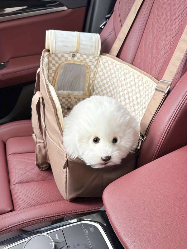 1pc Beige Pet Bag