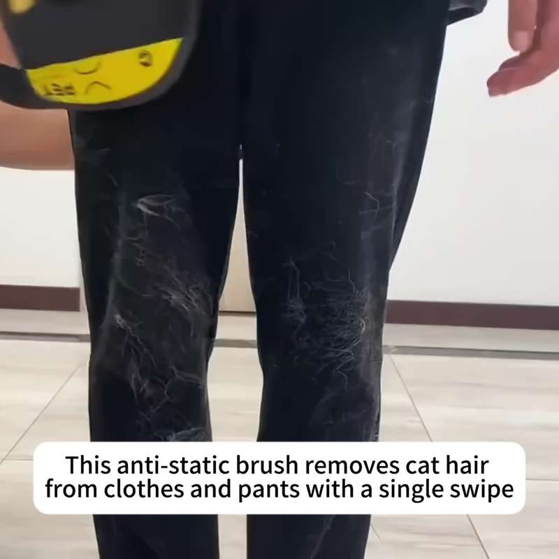 1pc Black Pet Comb