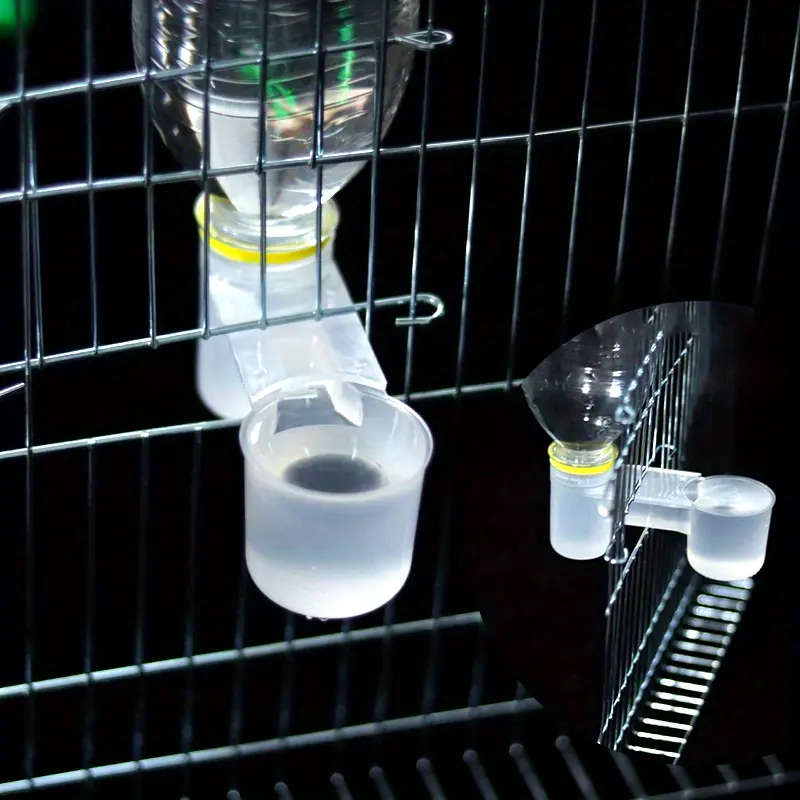 Bird Feeder
