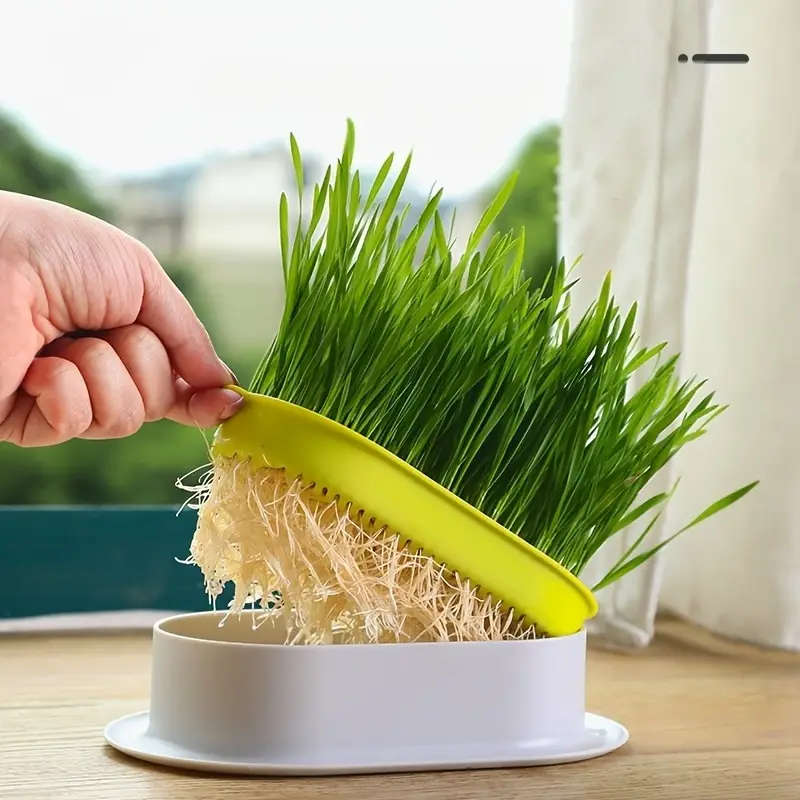 1 Hydroponic Grass Planter