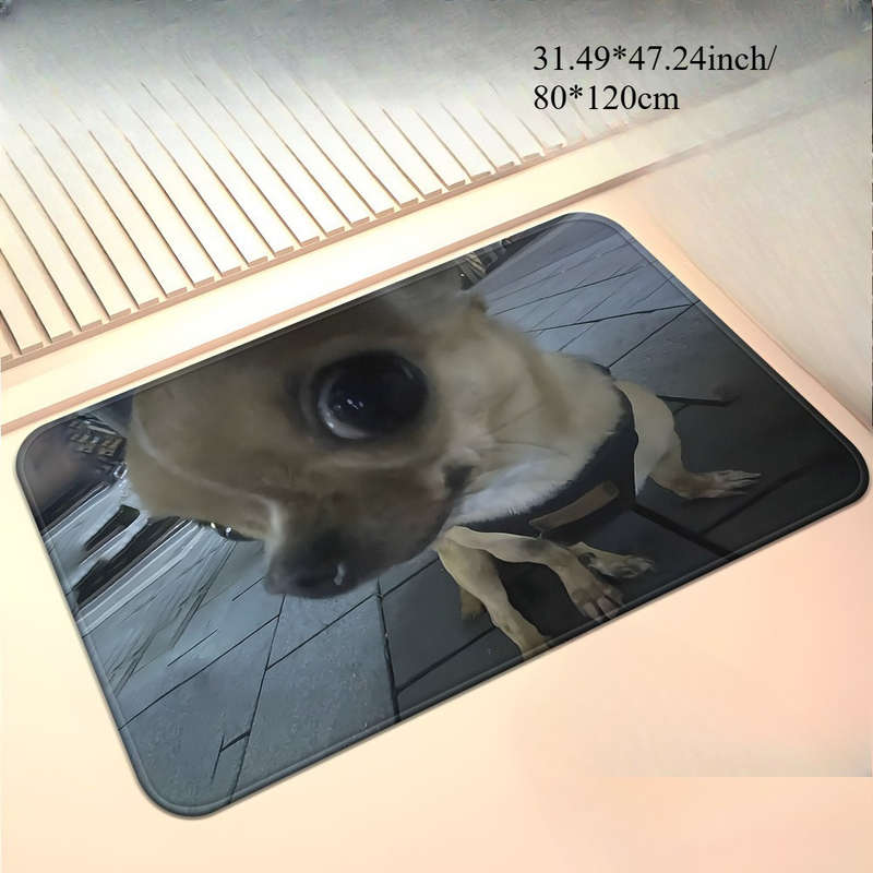 1Pc 19.69x31.49inch 50x80cm Floor Mat