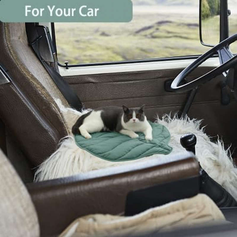 1PC Pet Mat Green