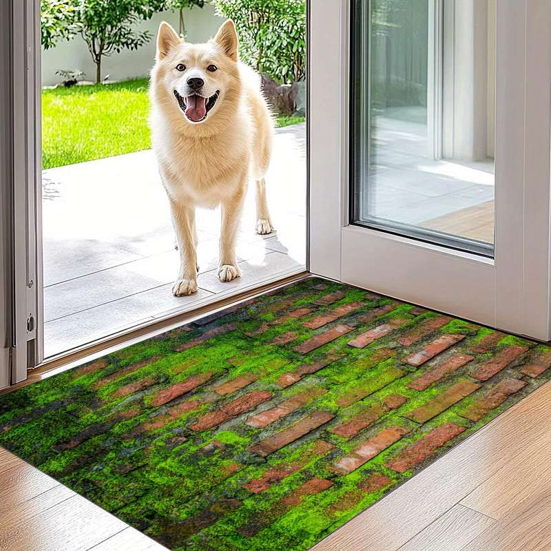 1Pc 50x80cm 19x31inch Floor Mat