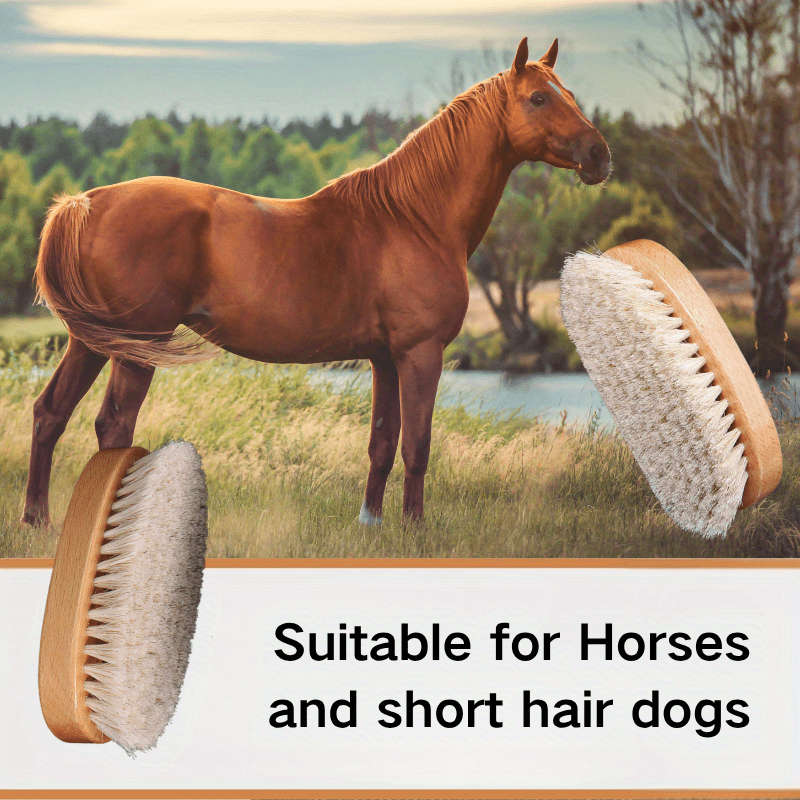 1pc Pet Comb
