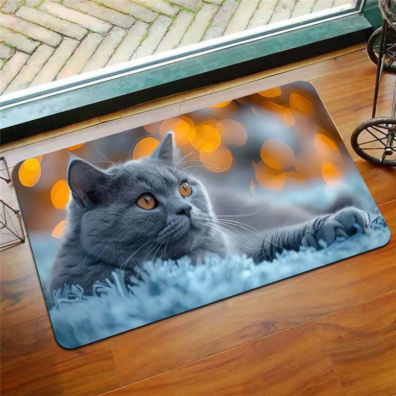 1Pc Gray Blue 19.69x31.49inch 50x80cm Floor Mat