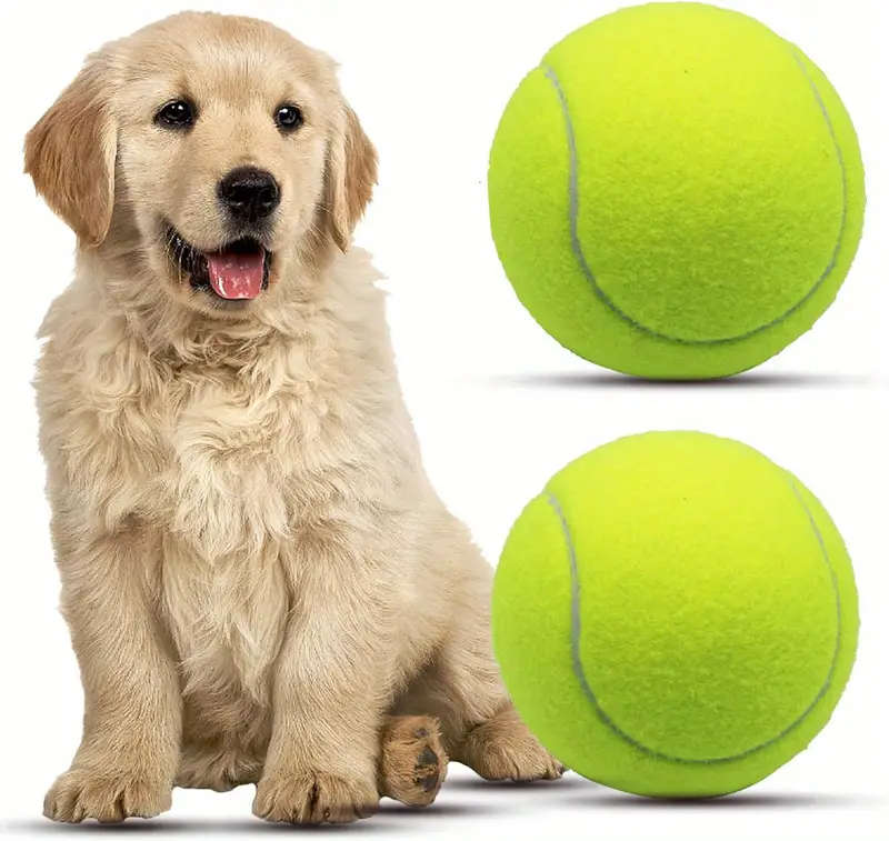 Dog Chew Toys