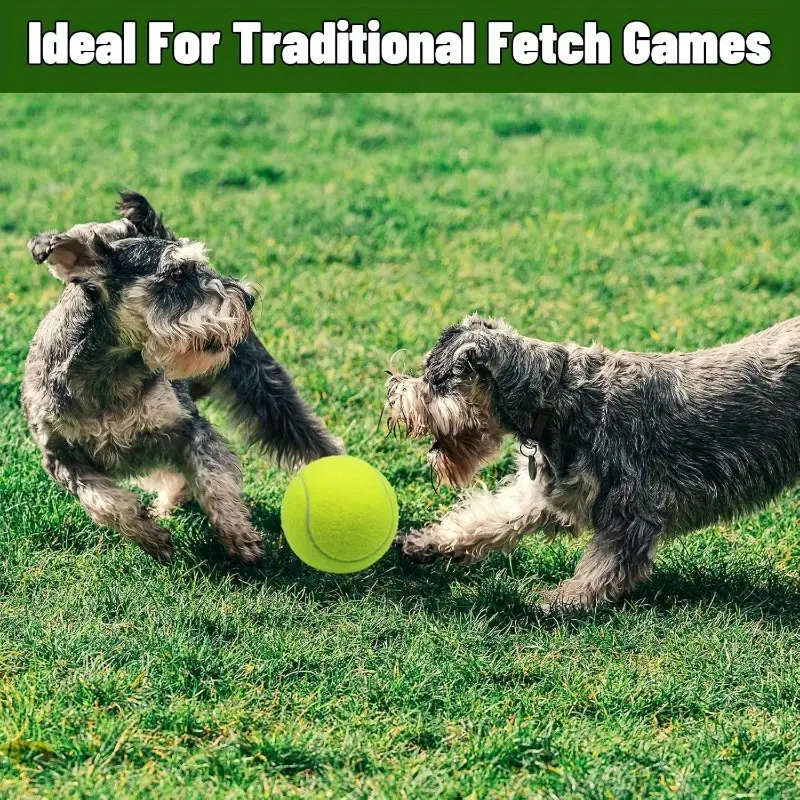 Dog Chew Toys