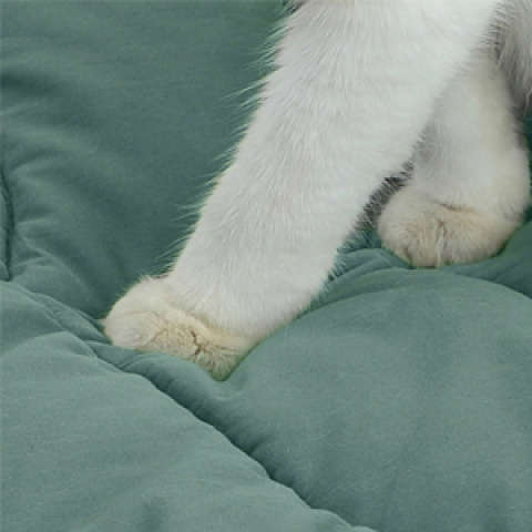 1PC Pet Mat Green