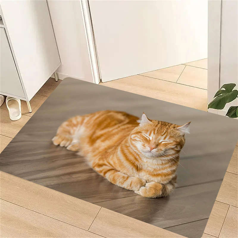 1Pc 40x60cm 15.74x23.62inch Floor Mat