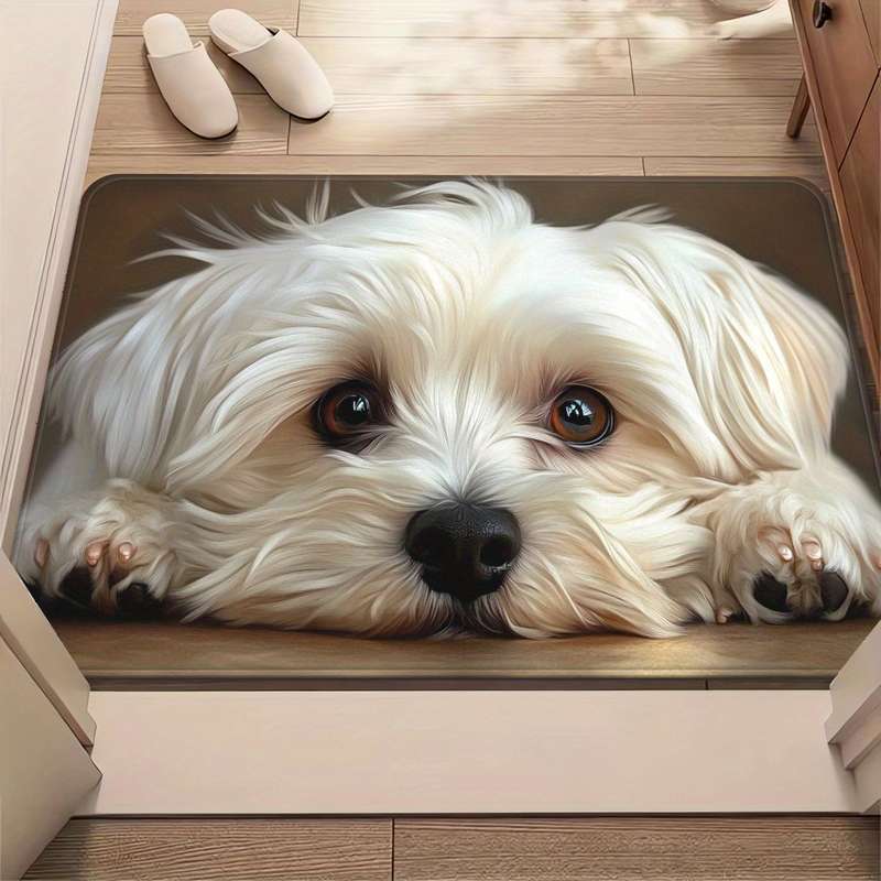 1Pc 19.69x31.49inch 50x80cm Floor Mat