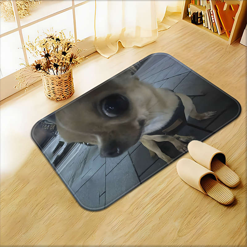 1Pc 19.69x31.49inch 50x80cm Floor Mat