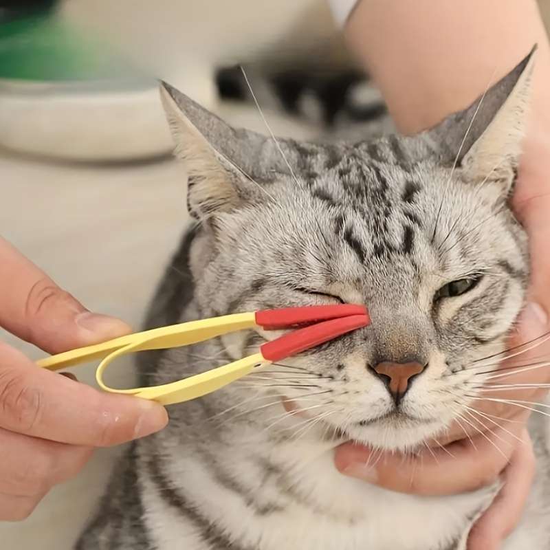 1pc Blue Pet Comb
