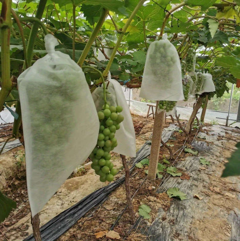 100pcs Fruit Cover Mesh Bag