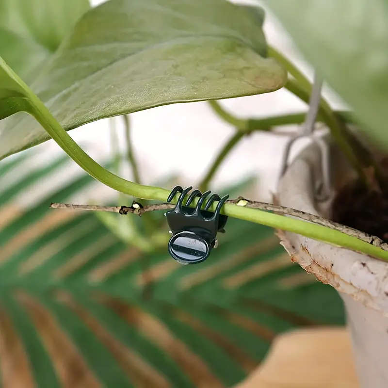 20pcs Orchid Clip
