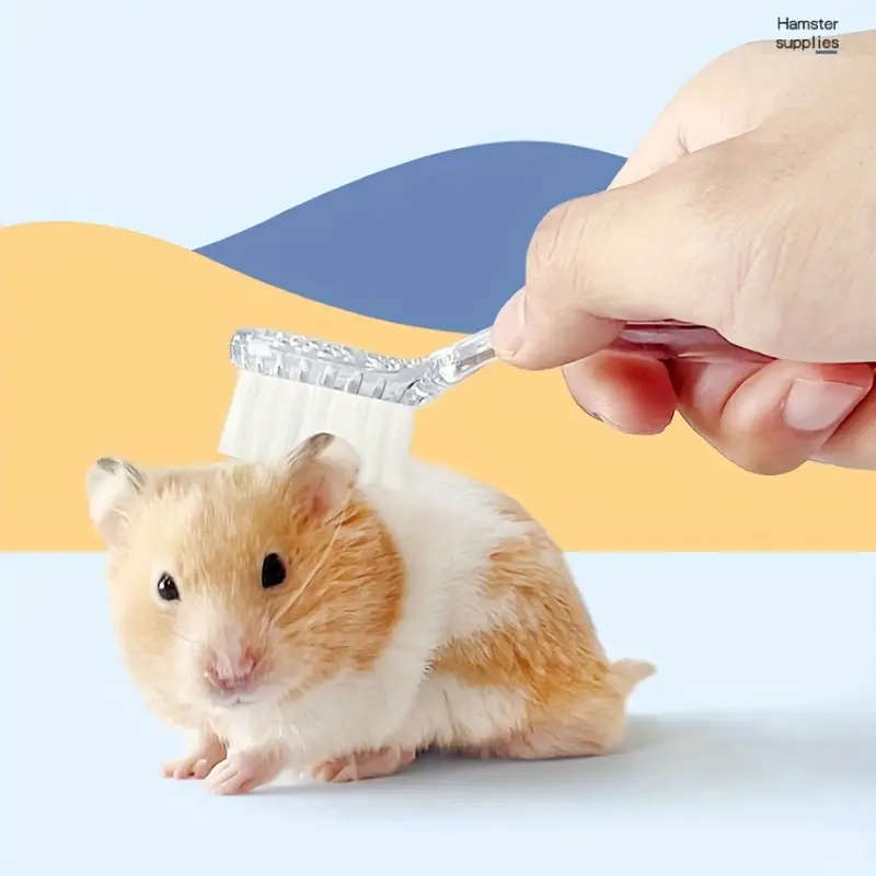 Massage Brush