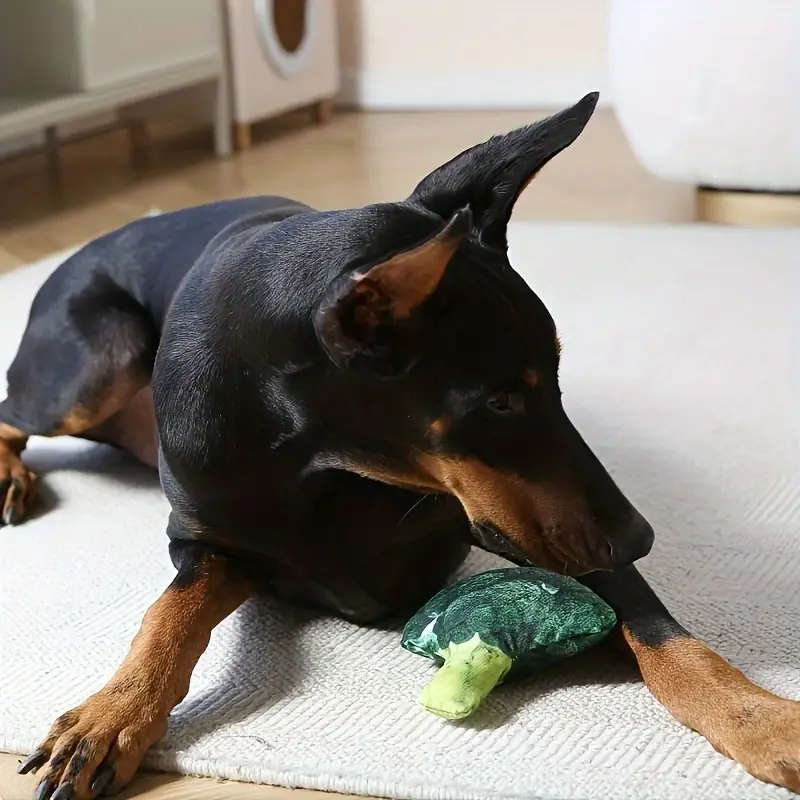 Dog Chew Toys