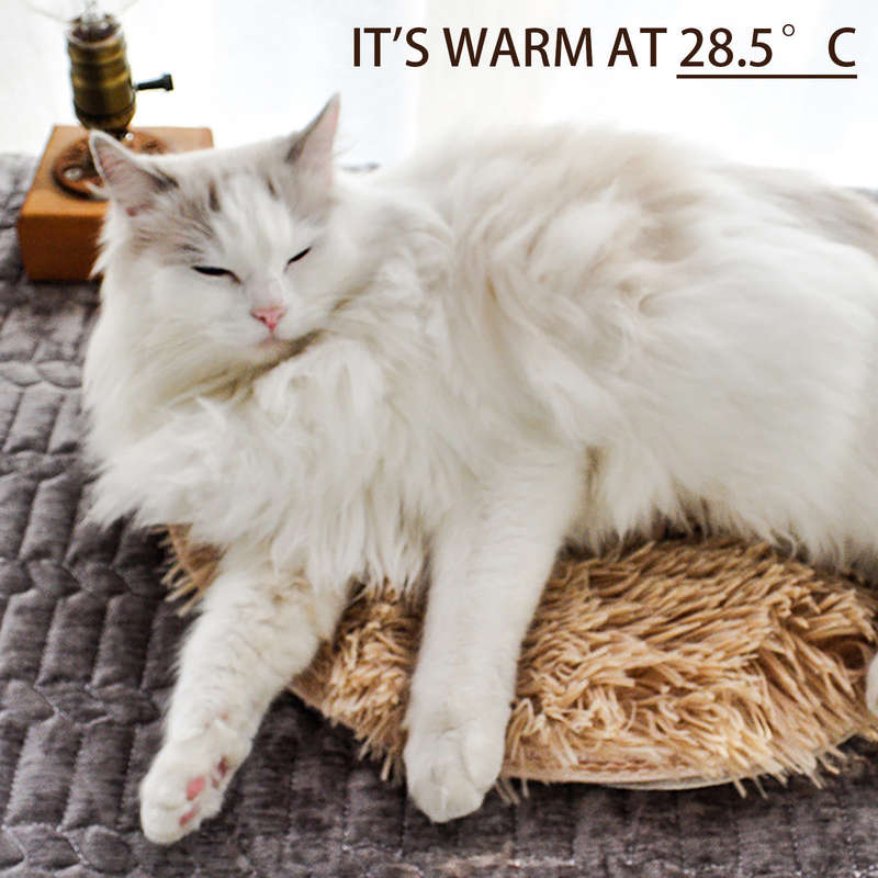 1PC Pet Mat Treasure Blue