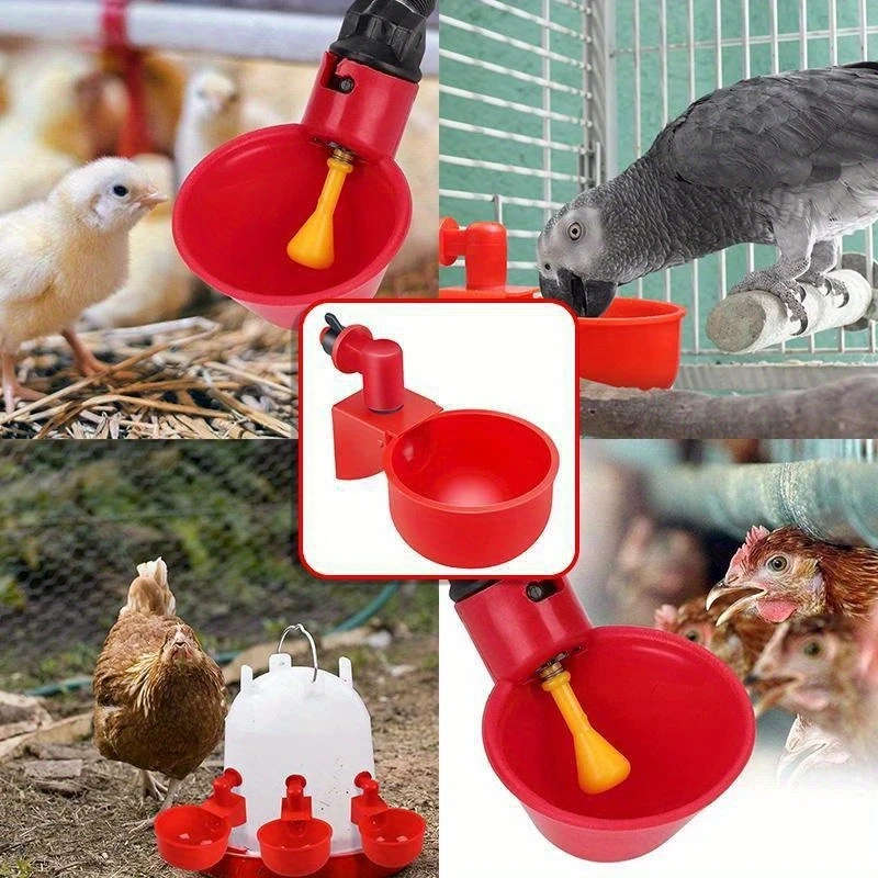 Automatic Poultry Drinker