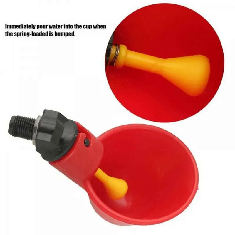 Automatic Poultry Drinker