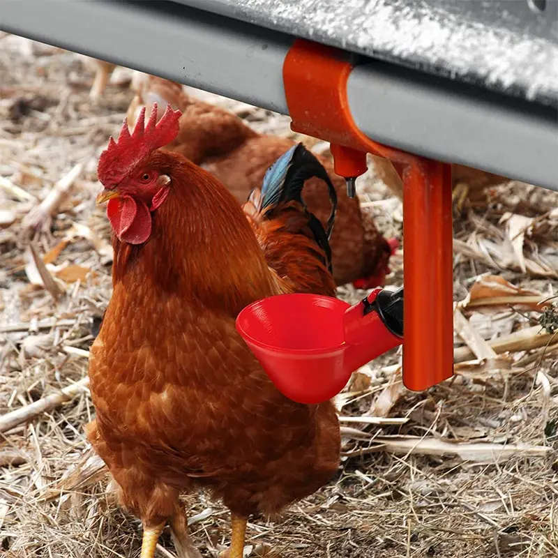 Automatic Poultry Drinker