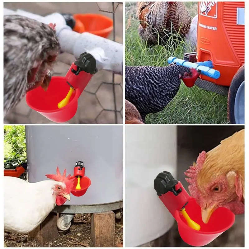 Automatic Poultry Drinker