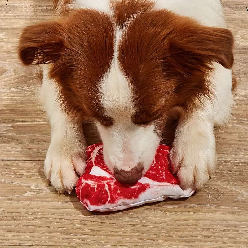 Dog Chew Toys