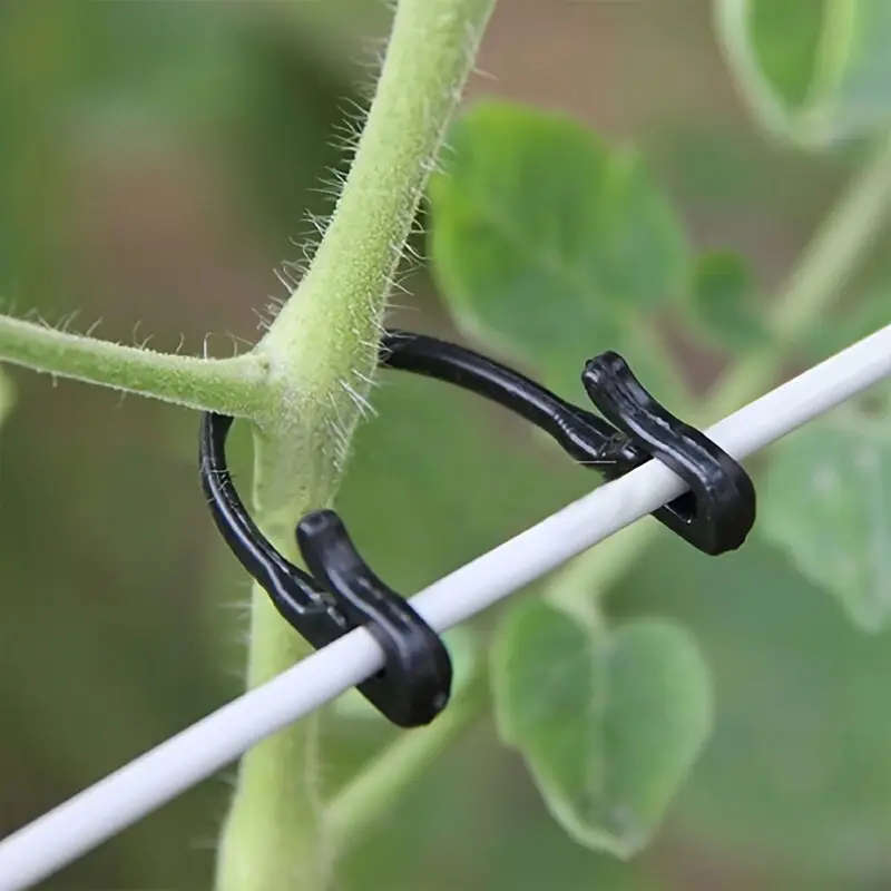 50pack Plant Support Clips