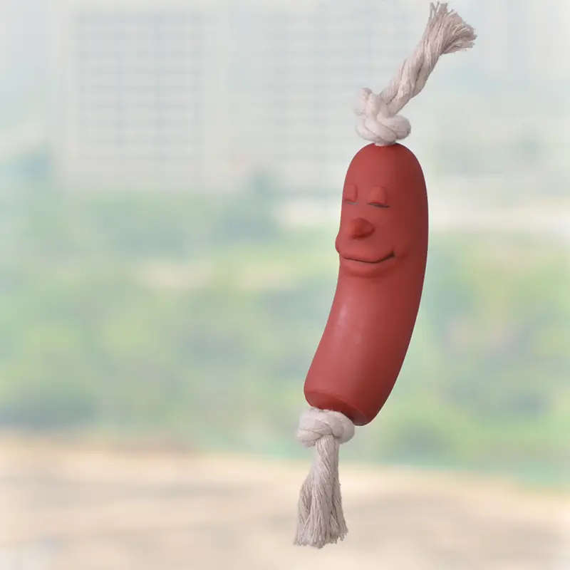 Pet Chew Toys