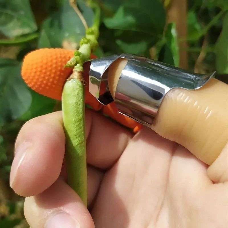 1pc Stainless Steel Thumb Knife Set with Beige Handle Portable Ideal for Fruit Vegetable P