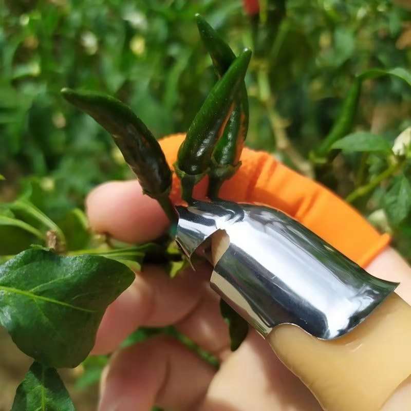 1pc Stainless Steel Thumb Knife Set with Beige Handle Portable Ideal for Fruit Vegetable P
