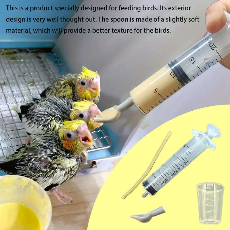 Small Bird Feeder