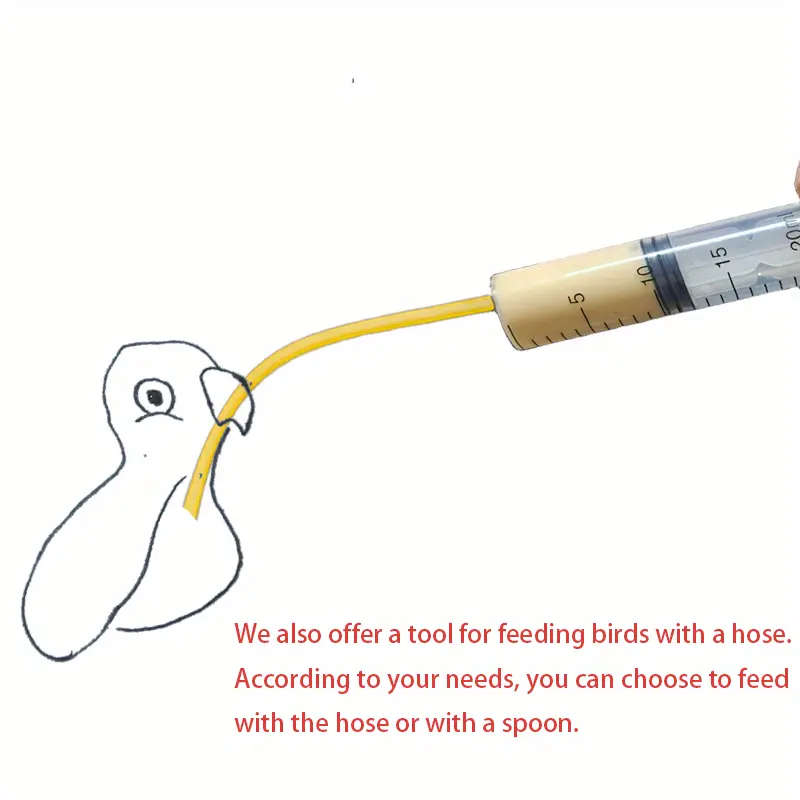 Small Bird Feeder