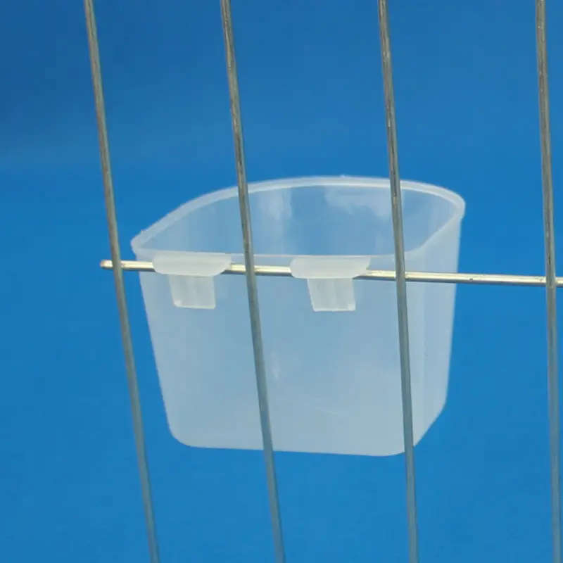 Bird Feeder