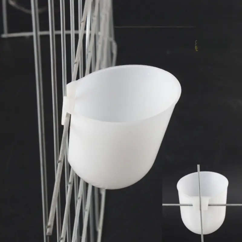 Bird Feeder