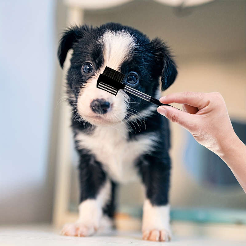 2pcS Black Pet Comb