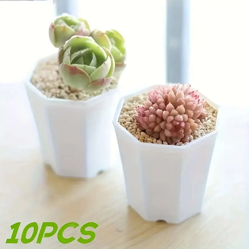10 White Self Watering Plant Pots