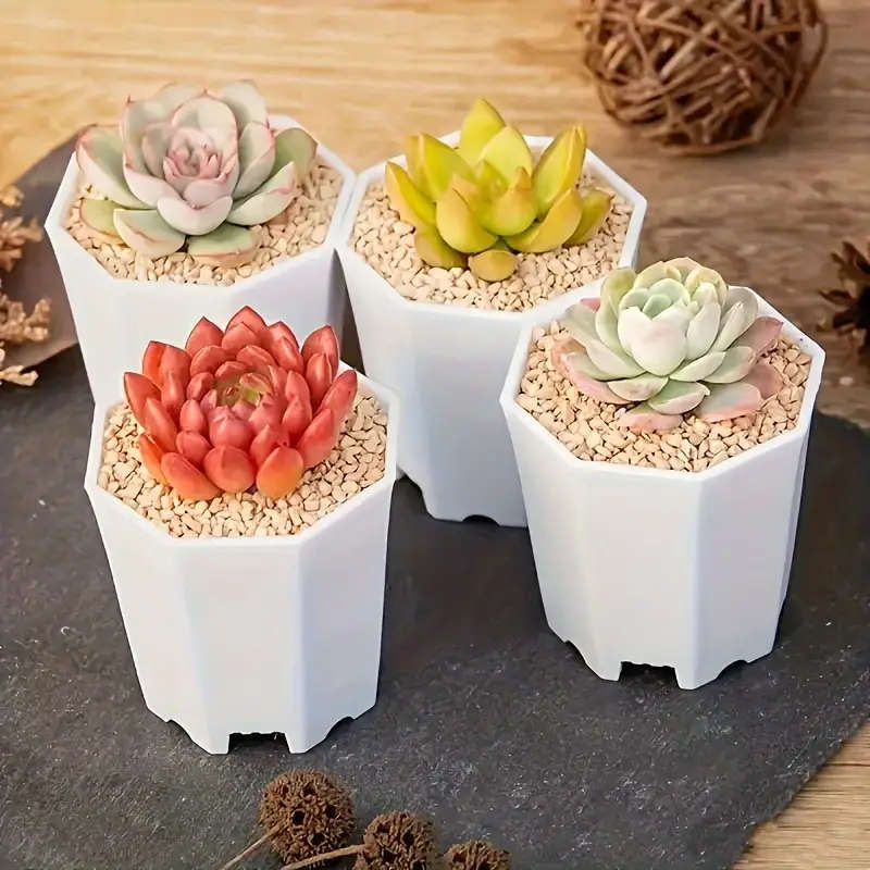 10 White Self Watering Plant Pots
