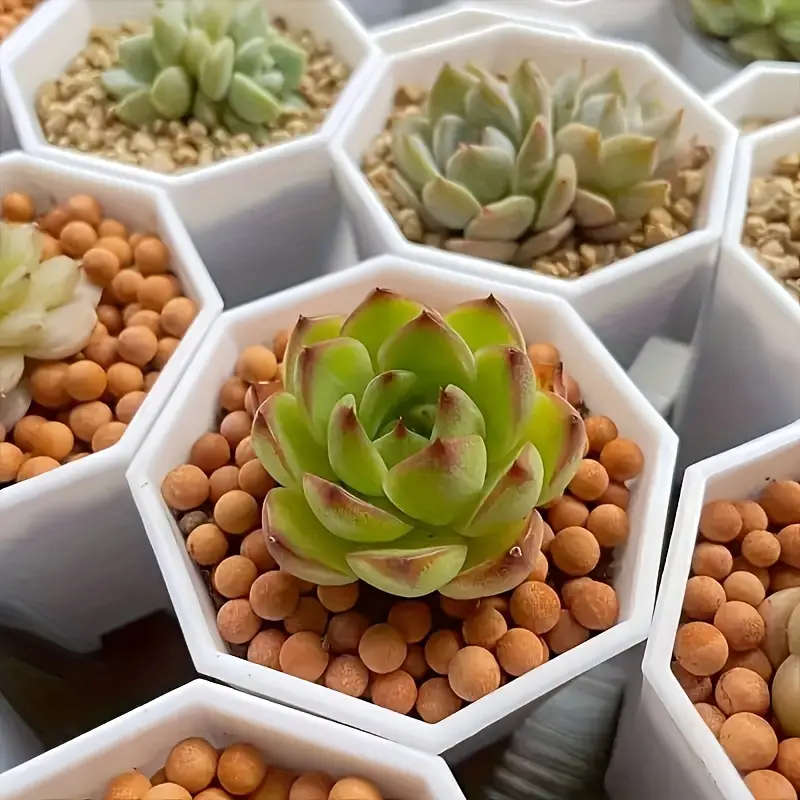10 White Self Watering Plant Pots