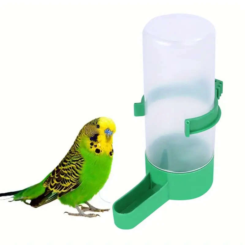 Small Bird Feeder