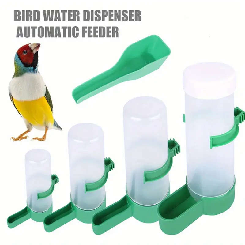 Small Bird Feeder