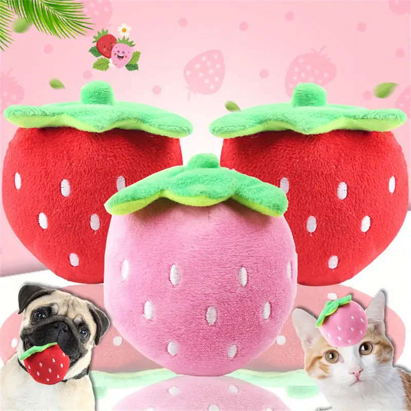 Dog Chew Toys