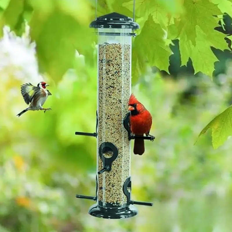 Small Bird Feeder