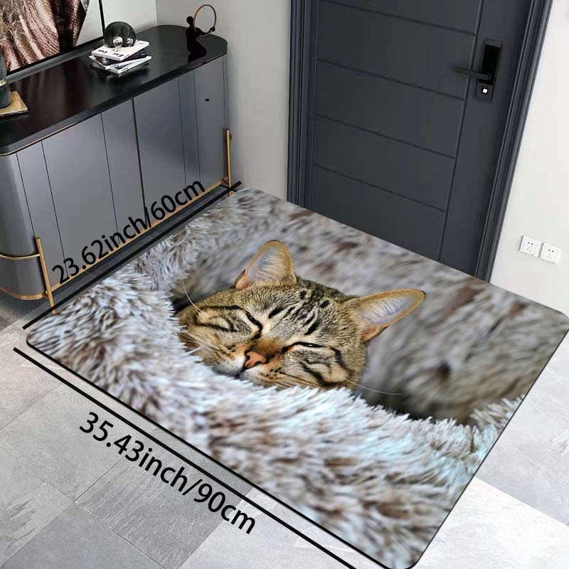 1Pc Grey 31.49x47.24inch 80x120cm Floor Mat