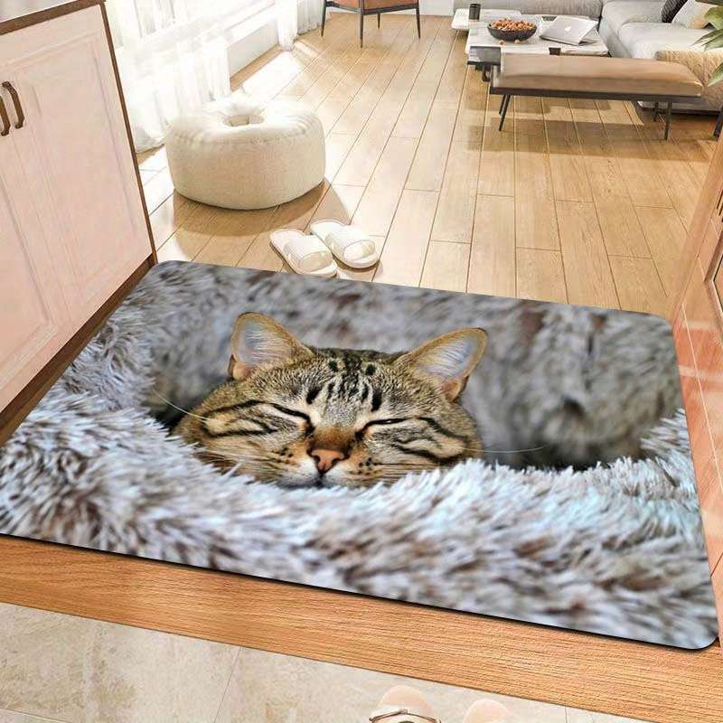 1Pc Grey 31.49x47.24inch 80x120cm Floor Mat