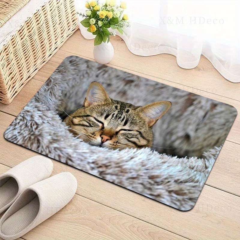 1Pc Grey 31.49x47.24inch 80x120cm Floor Mat