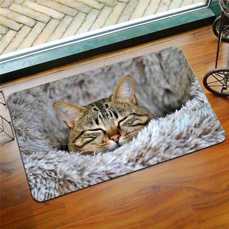 1Pc Grey 31.49x47.24inch 80x120cm Floor Mat
