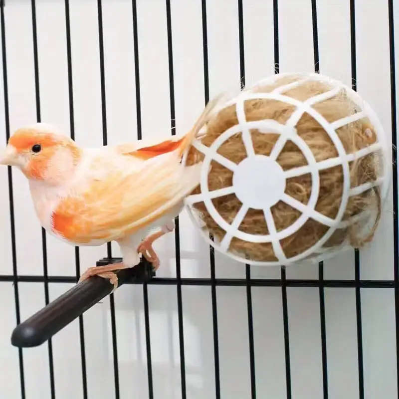 Small Bird Feeder