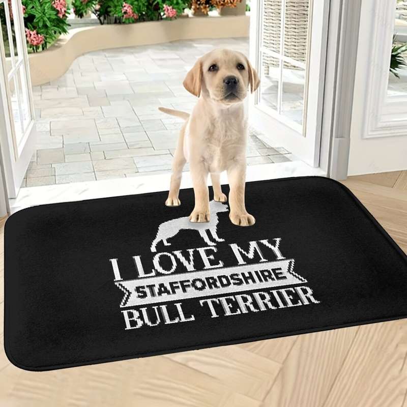 1Pc 15.75x23.62inch 40x60cm Floor Mat
