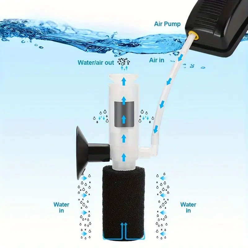 Aquarium Filtration System